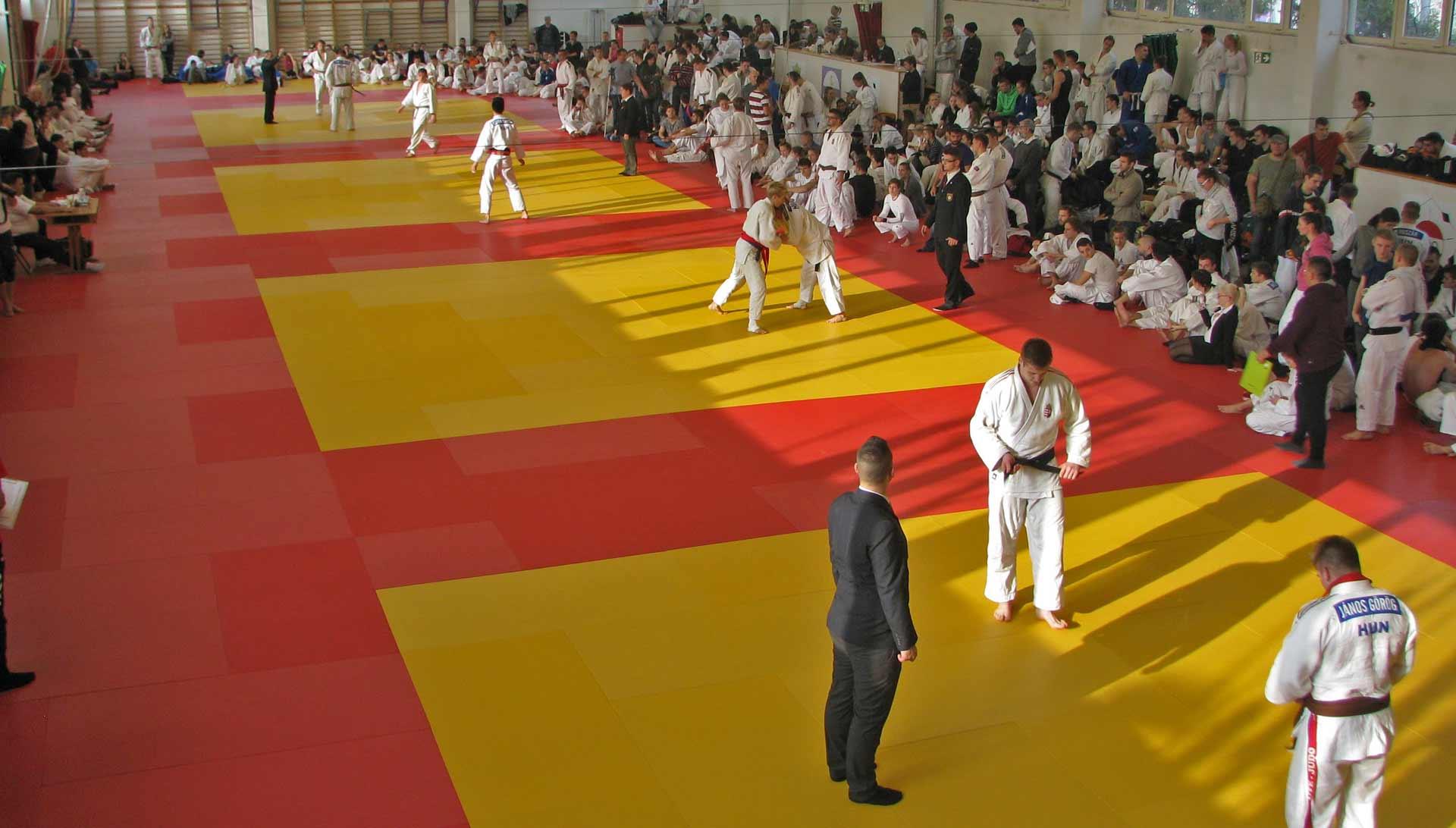 Judo MEFOB 2016