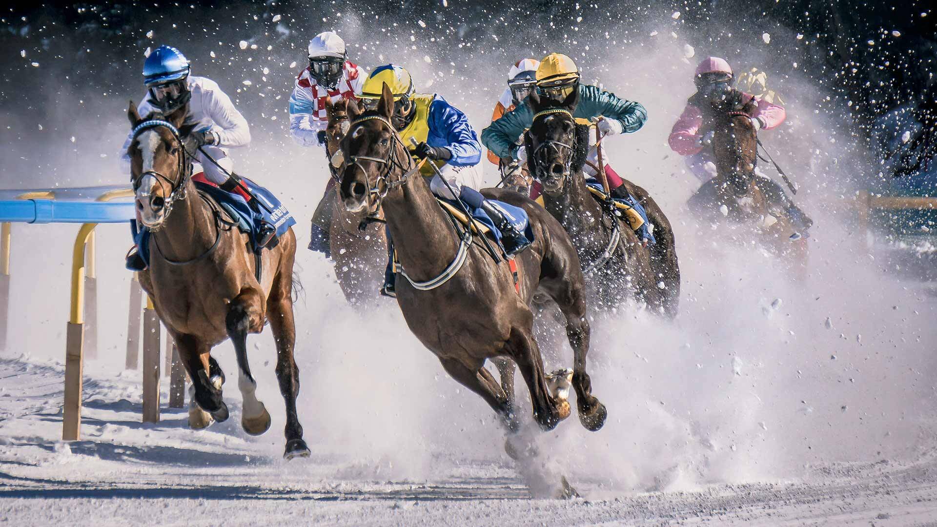 Megjelent a Testnevelés, Sport, Tudomány legújabb száma